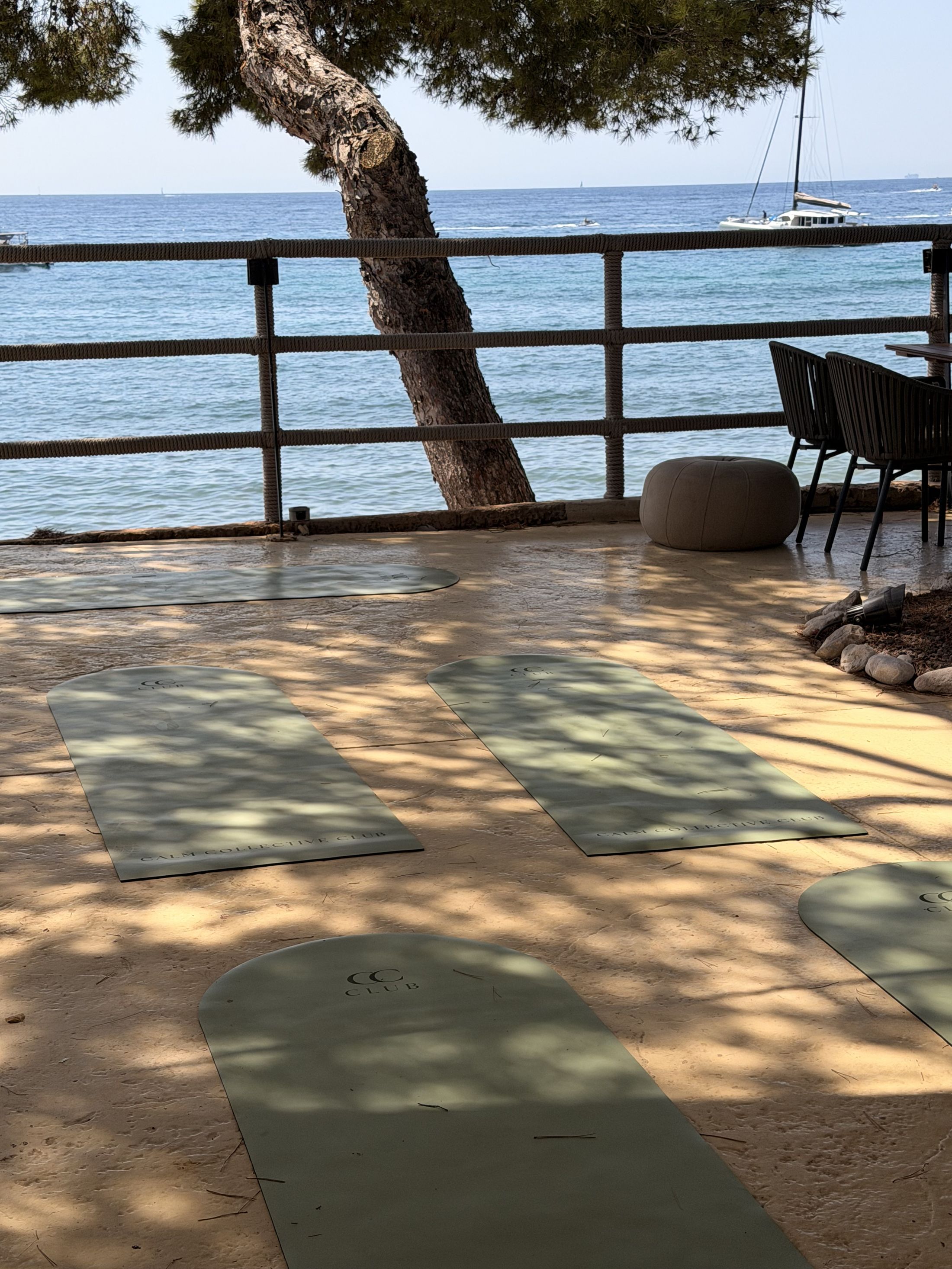 Calm Collective Club yoga mats under a pine tree by the sea