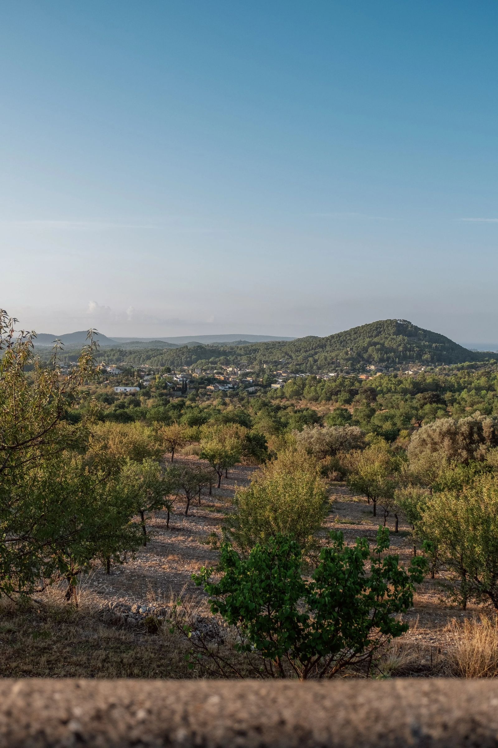View across the Mallorcan countryside, rolling hills and olive groves